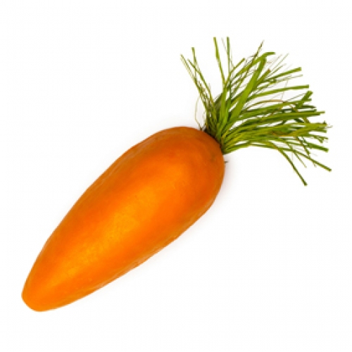 carrot 500x5001