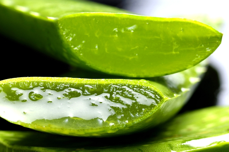 aloe vera gel