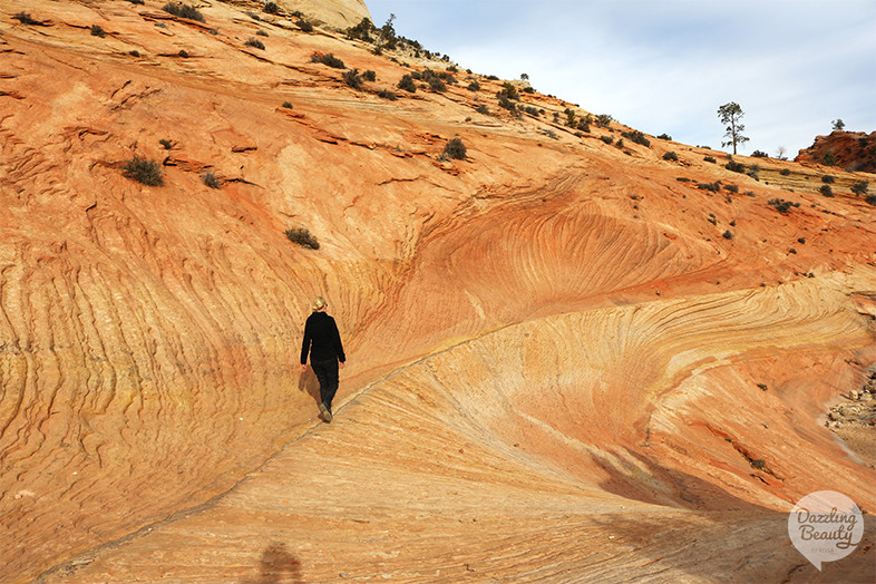 zion