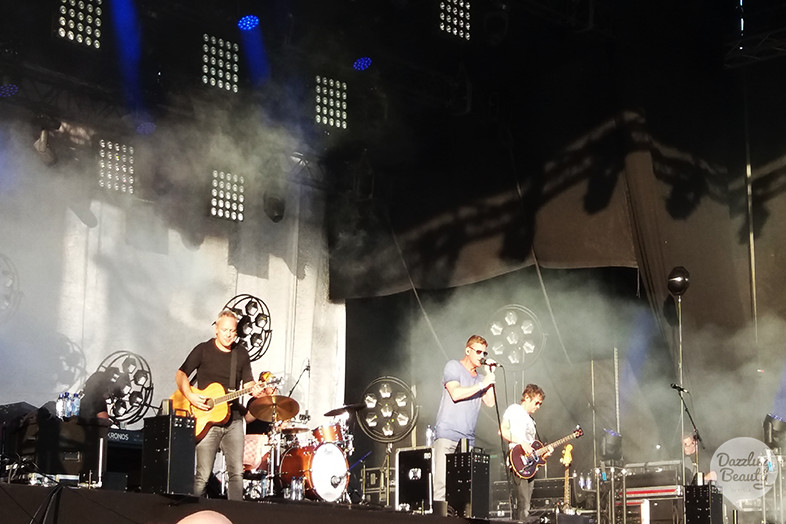 racoon