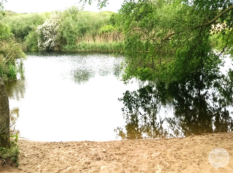 de berkheide katwijk