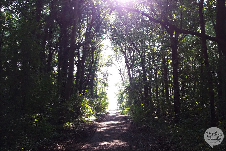 staelduinse bos