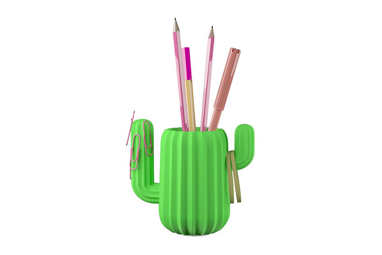 cactus organizer