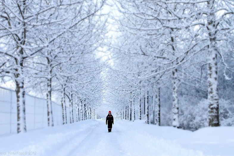 reykjavik met kerst