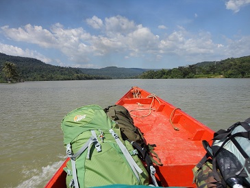 Cambodja Jungle