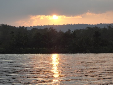 Cambodja Jungle 