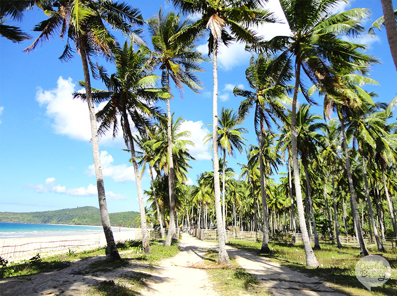 nacpan beach palawan 3