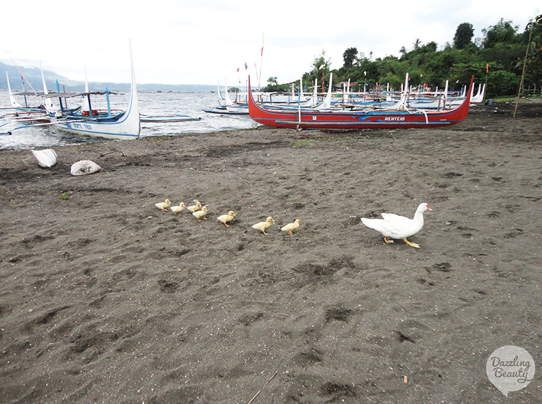 Vulcano Island