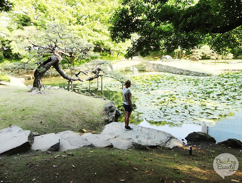 Koishikawa Korakuentuin Tokyo