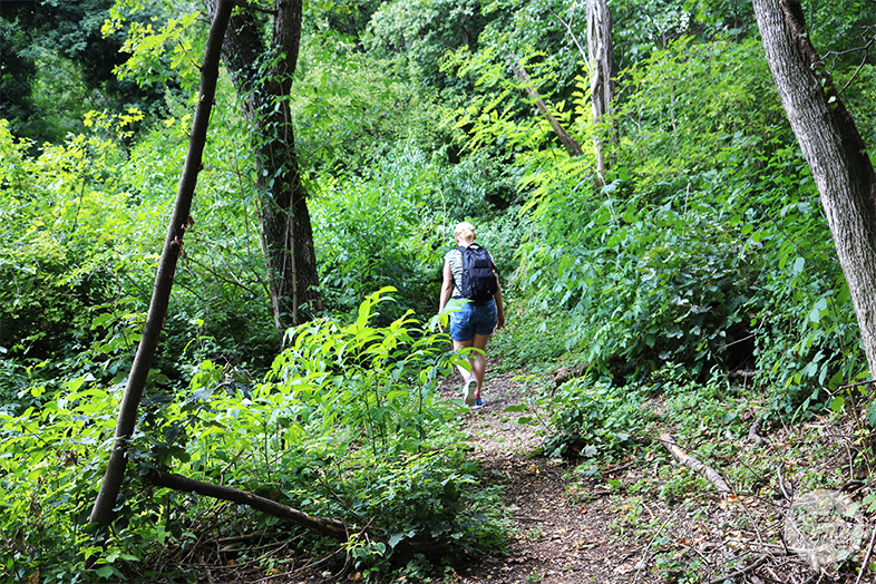 medvednica hike