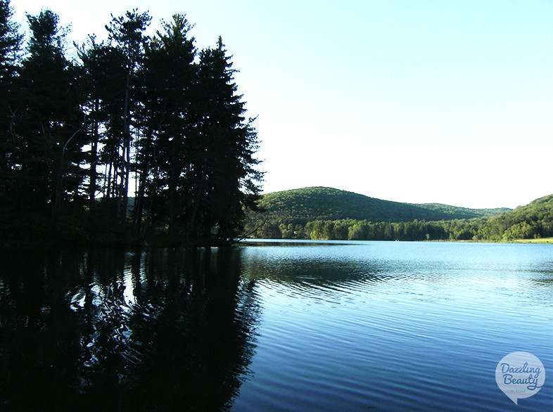 allegany state park meer