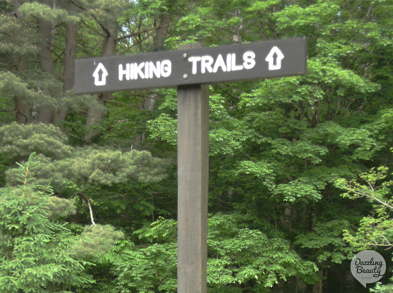 hiking trail allegany state park