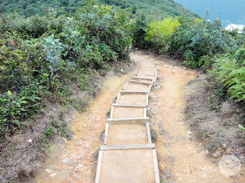 Hike Trails in Hong Kong!