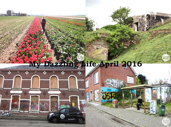 Diary April 2016!